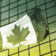 Canadian companies progressing on climate-related lobbying transparency