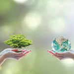 Two people human hands holding/ saving growing big tree on soil eco bio globe in clean CSR ESG natural sunlight background World environment day go green concept Element of the image furnished by NASA