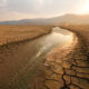 Extreme climate to hit bank dividends but not an existential threat, says NZ central bank Dried lake, climate change