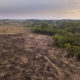 Deforested area in Brazil