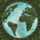 image of Earth made of water and forests