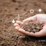 UNEP FI launches short-term climate scenario analysis tool for financial institutions Top view of soil in hands for check the quality of the soil for control soil quality before seed plant. Future agriculture concept. Smart farming, using modern technologies in agriculture"n