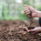 Farmer holding soil in hands close-up