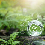 Sustainability and green business with icons on crystal balls. renewable energy concept Reduce CO2 emissions concept, green business using environmentally renewable energy. change, weather