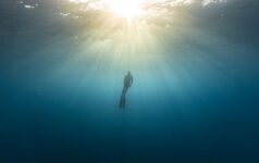 CDP to include ocean-related questions ‘very soon’ freediving