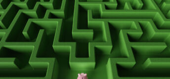 Pink piggy bank at the entrance of a green maze. Illustration of the concept of direction and strategy of financial investment