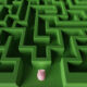 Pink piggy bank at the entrance of a green maze. Illustration of the concept of direction and strategy of financial investment