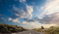 ISSB staff outline proposed approach for nature standard-setting