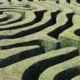 More nature guidance needed for insurers, says Aviva’s Viegas