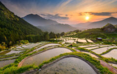Big read: How financial institutions in Asia are ramping up on nature