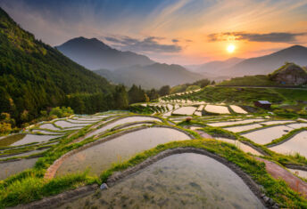 Big read: How financial institutions in Asia are ramping up on nature
