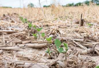 Down to earth: Investors navigate regenerative agriculture