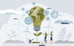 Green sustainability lightbulb