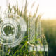 Wheat field with data overlay