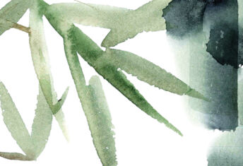 Bamboo watercolour