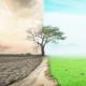 Scientific Climate Ratings: Pricing in climate risk