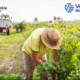 Preparing for the Next Frontier in ESG: Social and Human Rights Risk Management